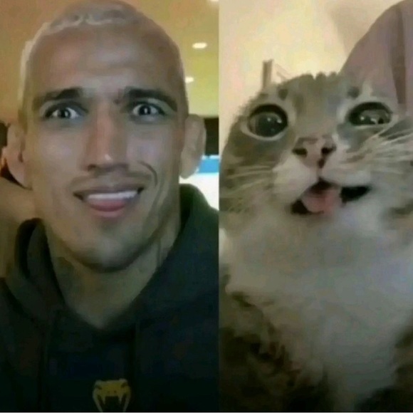 suvsezx